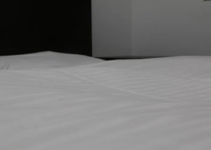 Holsteiner Hof 3* هيست